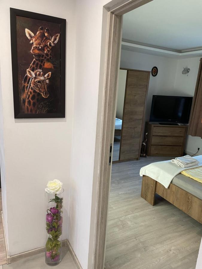 Prestige Apartament Elblag Exterior foto